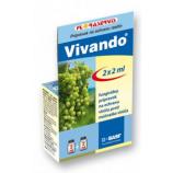 Vivando