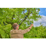 Gardena Nožnice na konáre EasyCut L, dvojbrité, ideálne na čerstvé drevo