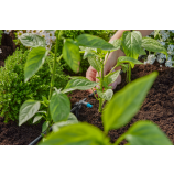 Gardena MDS Kvapkač radový 2 l/h