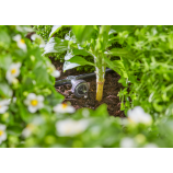 Gardena Štartovacia súprava Micro-Drip-System pre hriadky / 35 rastlín