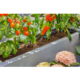 Gardena Štartovacia súprava Micro-Drip-System pre terasy / 30 rastlín