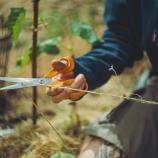 Fiskars Univerzálne nožnice, 21 cm 1075031