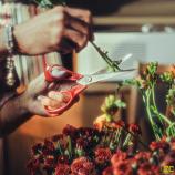 Fiskars Univerzálne nožnice pre ľavákov, 21 cm 1075035