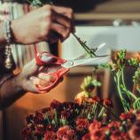 Fiskars Univerzálne nožnice pre ľavákov, 21 cm 1075035