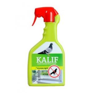 Kalif vtáky a holuby