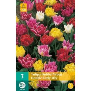 Tulipán Double Early mix "C"