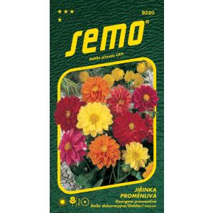 Semo Georgína premenlivá Kompakt nízka zmes 1g