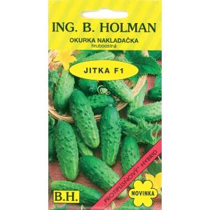 Uhorka nakladačka Holman Jitka F1 hr