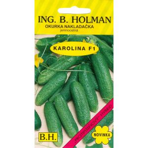 Uhorka nakladačka Holman Karolína hu F1