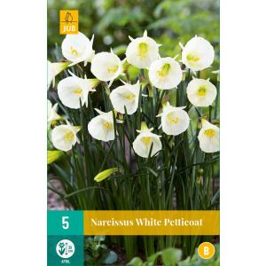 Narcis White Petticoat "B"