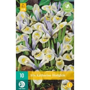 Kosatec Iris Katharine Hodgkin "C"