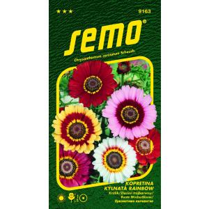 Semo Kopretina kýlnatá Rainbow mix 0,5g