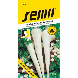 Semo Petržlen koreňová Olomoucká dlhá 3g