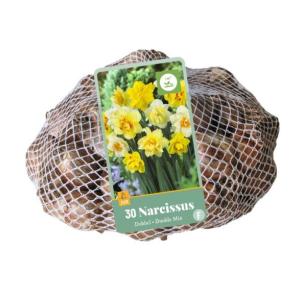 XXL Narcis Double Mix 30 cibulí