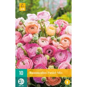 Iskerník Ranunculus Pastel Mix "B"