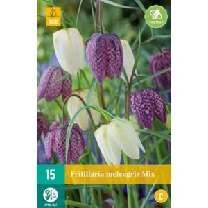 Korunkovka Fritillaria Meleagris Mix "C"