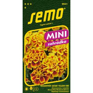 Semo Aksamitník rozkladitý Safari Yellow Fire 30s