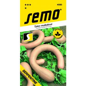 Semo Tekvica plazivá muškátová Serpentine F1 2g