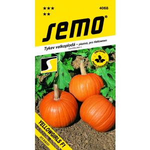 Semo Tekvica plazivá Yellowgirls F1 Halloween 3g