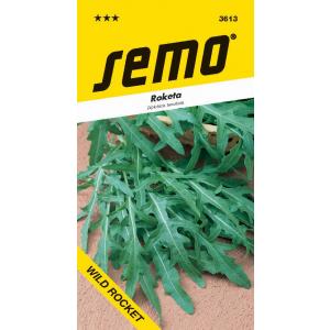 Semo Roketa siata Wild Rocket Diplotaxis tenuifolia 1,2g