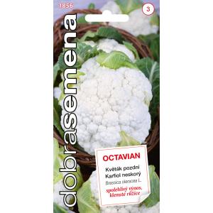 Dobré semená Karfiol neskorý Octavian 0,3g