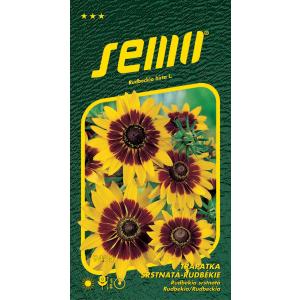 Semo Echinacea srstnatá Gloria Daisy 0,5g