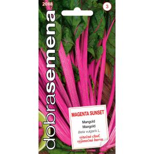 Dobré semená Mangold Magenta Sunset 2,5 g