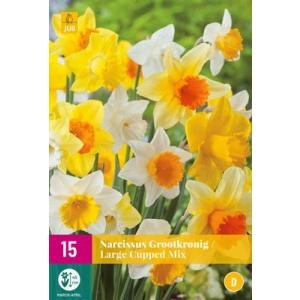 Narcis Large Cupped Mix "D"