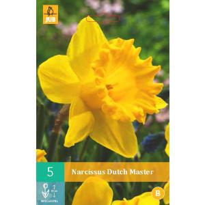 Narcis Dutch Master "B"