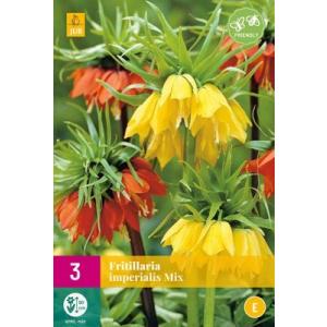 Korunkovka Fritillaria Imp.Mix "E"