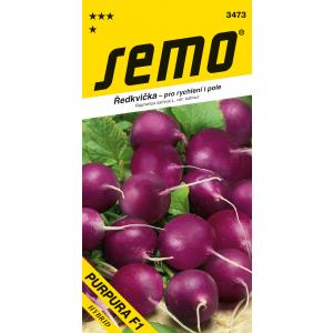 Semo Reďkovka fialová Purpura F1 rýchl pole 1,5 g