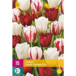 Tulipán Dutch Design Mix "D"