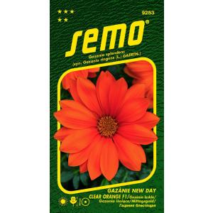 Semo Gazánia žiarivá New Day Clear Orange F1 15s