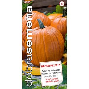 Dobré semená Tekvica veľkoplodá Racer Plus F1 PMT halloween 7s