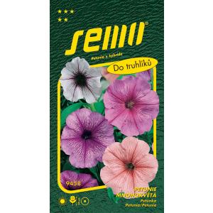 Semo Petúnia mnohokvetá zmes s orchideou hviezdou F1 50p