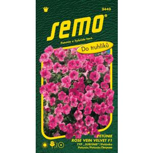 Semo Petúnia previsnutá Rose Vein Velvet RV Diamond F1 typ Surfínia 10p