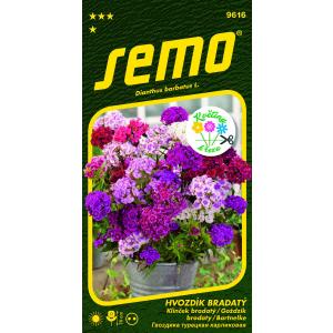 Semo Hvozdík bradatý Fragrance mix 0,5 g