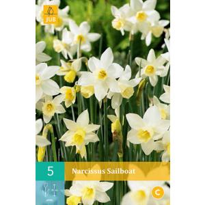Narcis Sailboat "C"