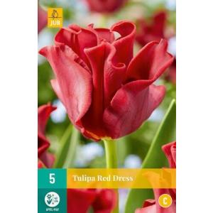 Tulipán Red Dress "C"