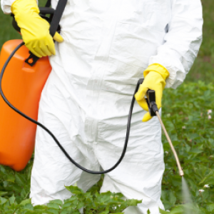 Týchto 11 biologických a chemických insekticídov hodnotíte ako najlepšie