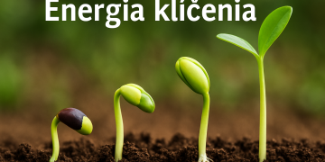 Energia klíčenia